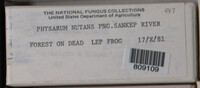 Physarum nutans image